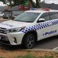 Vic Pol - Wang Kluger - Photo by Tom S (2)