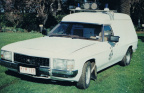 1980 Holden WB