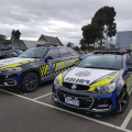 VicPol - Group shot 2019 - Photo by Tom S (9)
