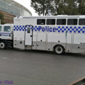 WAPol - Mounted Branch - Photo by Aaron V (3)