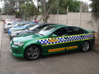 VicPol Semi Poison Ivy Metallic Green (2)