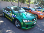 VicPol Semi Poison Ivy Metallic Green (5)