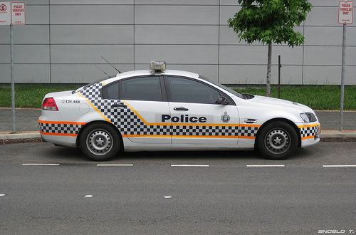 ActPol Holden VE - Photo by Angelo T (2).jpg
