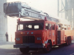 Old Ladder - 1973 RFW